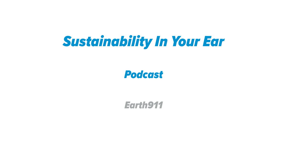 Sustainability In Your Ear Podcast